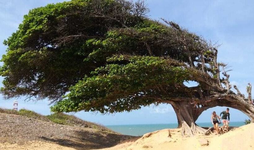 펜션 Pousada Casa Feliz