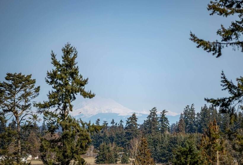 Port Angeles Home: 7 Mi To Olympic Natl Park!