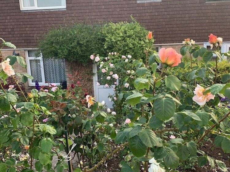 إقامة Captivating 2 Bed House In Amesbury, Salisbury