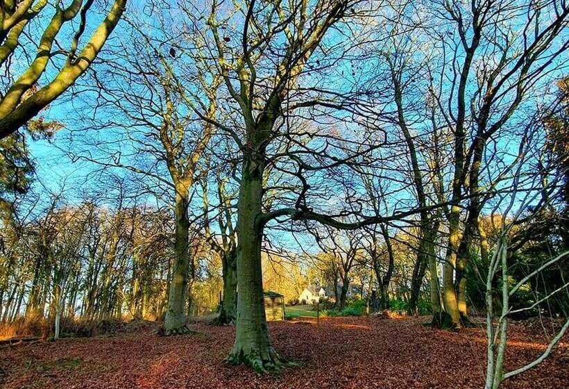 레지던스 Lovely 6 Bed Country House With Pool, Nr Arbroath