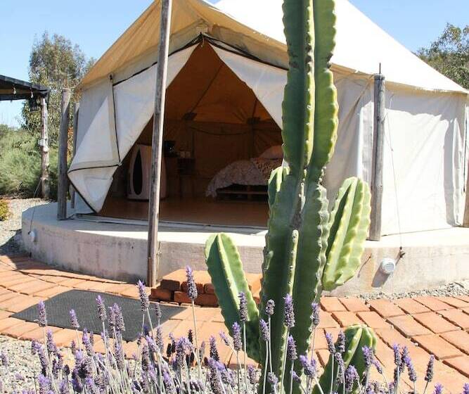منتجع Ally Glamping