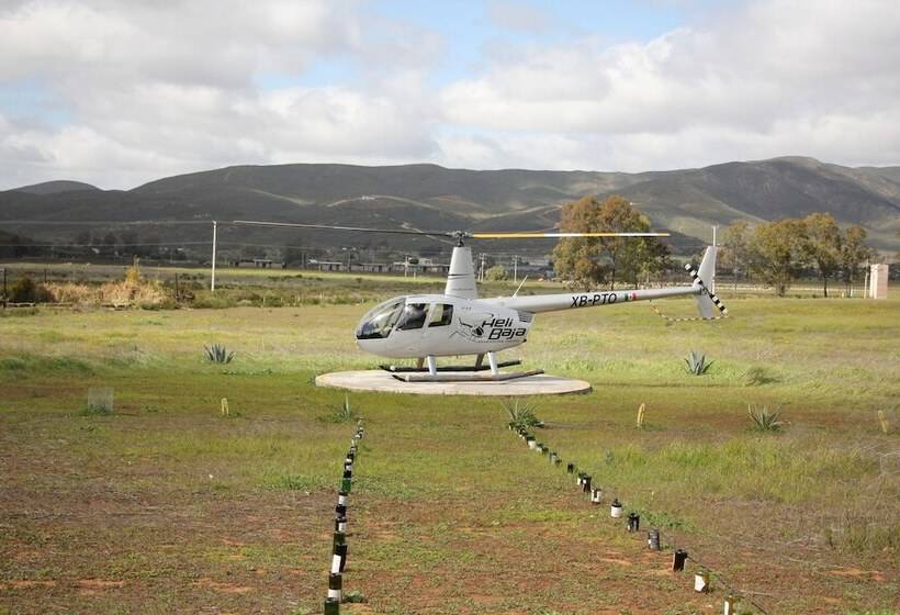 منتجع Ally Glamping