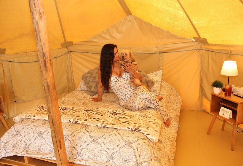 منتجع Ally Glamping