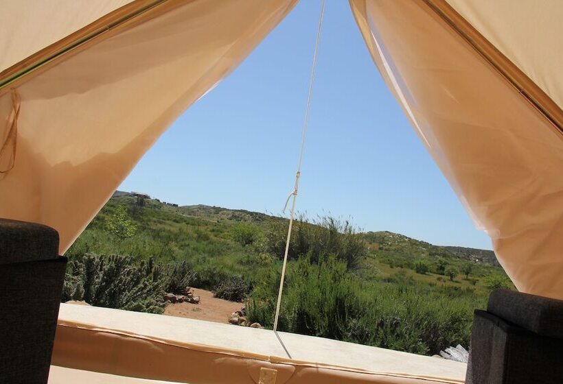 منتجع Ally Glamping
