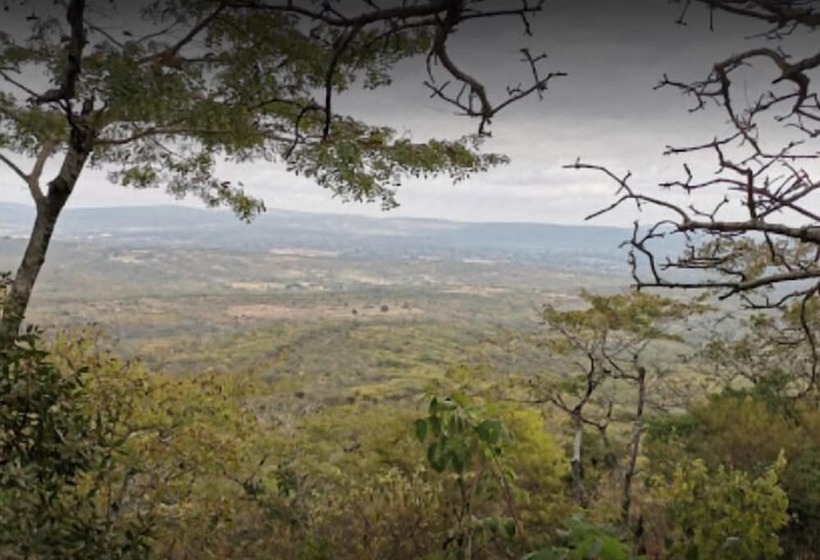 Royal Village Hotel Company