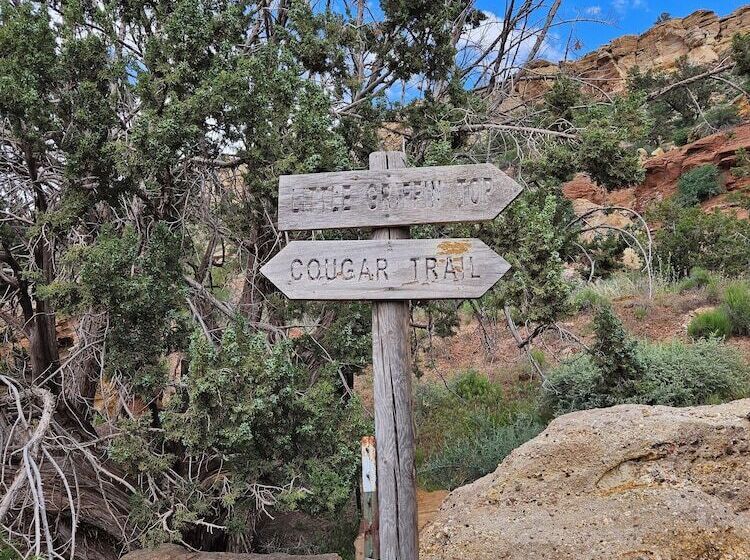 The Peacemaker Cabin