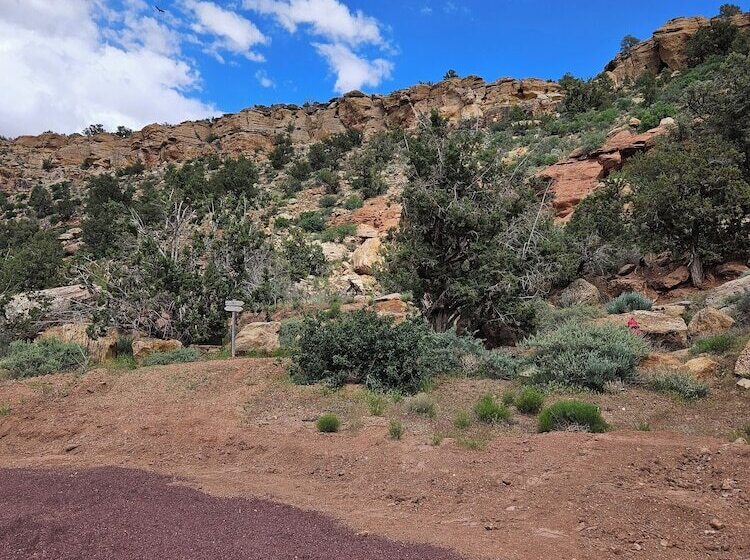 The Peacemaker Cabin