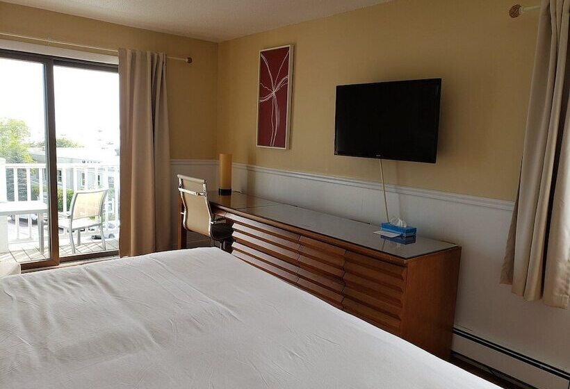 Trade Winds On The Bay