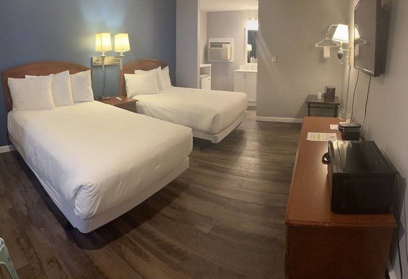 Trade Winds On The Bay