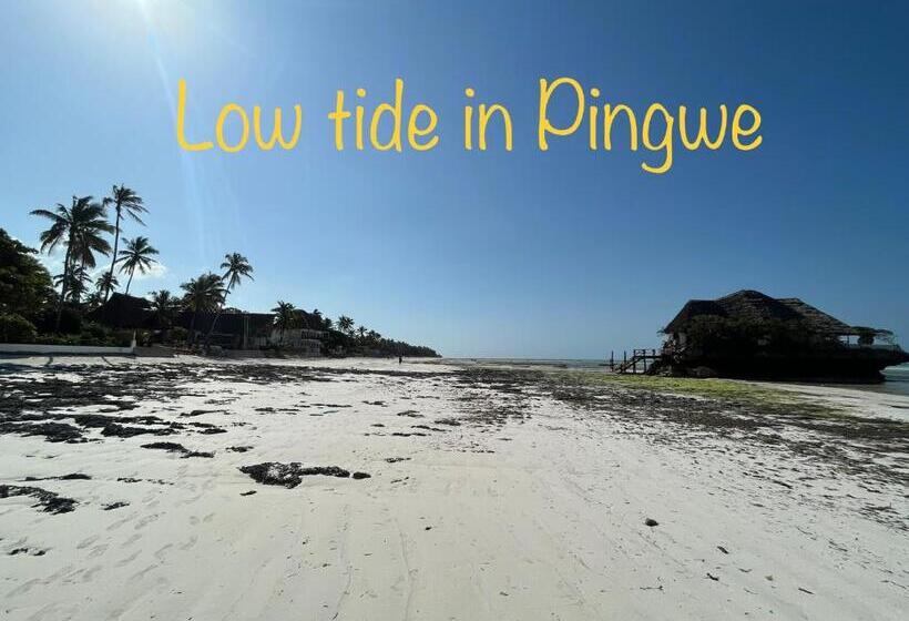 Tropical Boutique Hotel & Resto