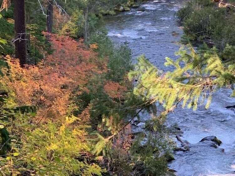 Union Creek Resort