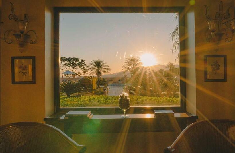 Отель Visconte D Italia