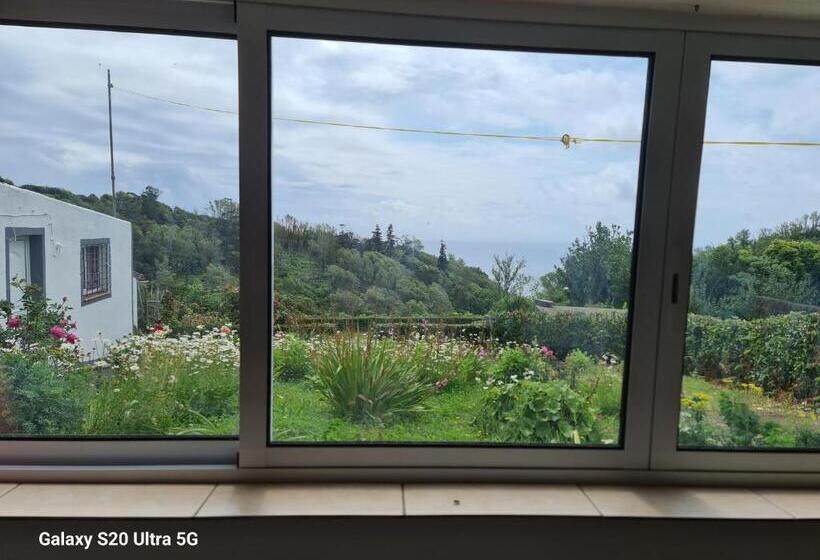 ペンション Ap Luso Brasileiro