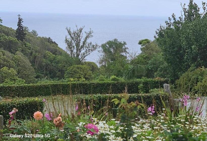 ペンション Ap Luso Brasileiro