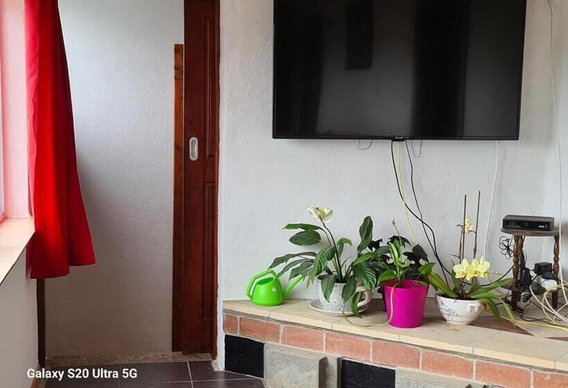 ペンション Ap Luso Brasileiro