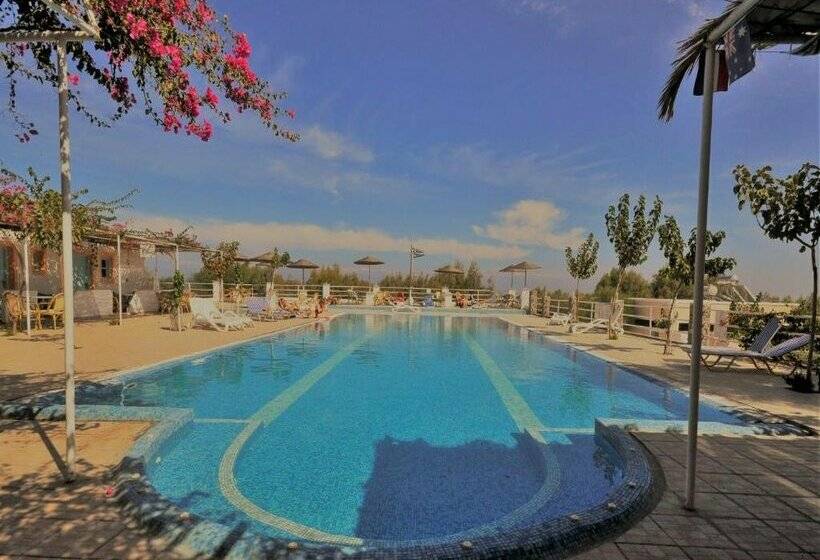 Santorini Camping & Hostel