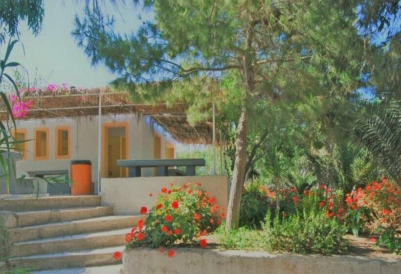 Santorini Camping & Hostel