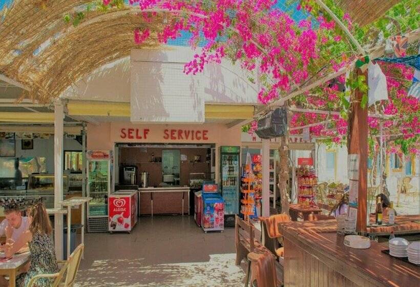 Santorini Camping & Hostel