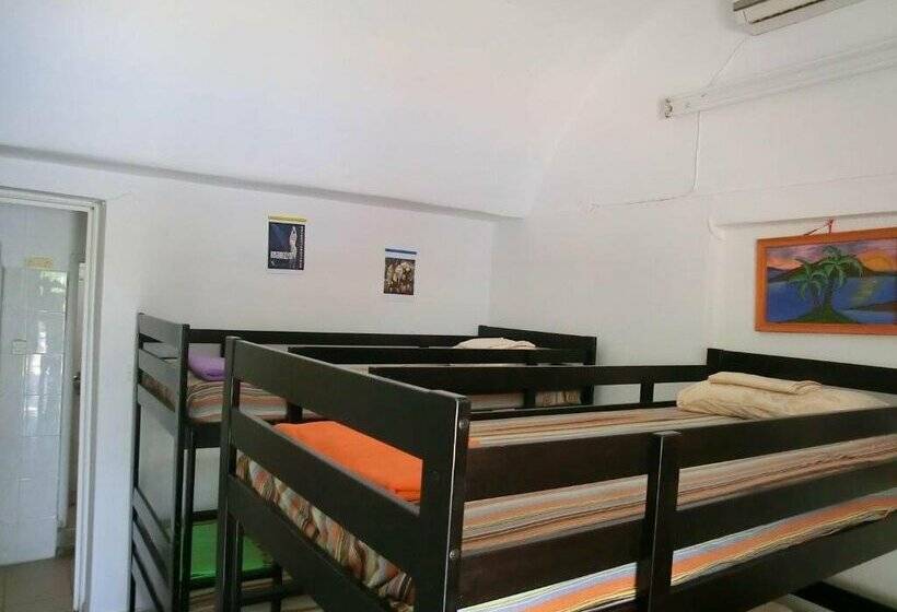 Santorini Camping & Hostel