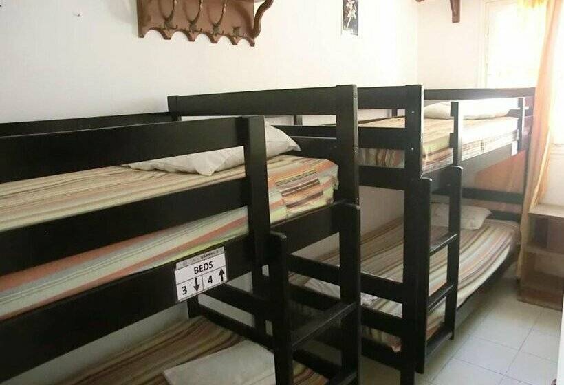 Santorini Camping & Hostel