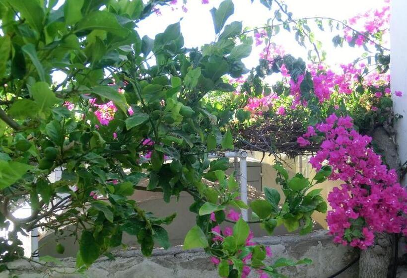 Santorini Camping & Hostel