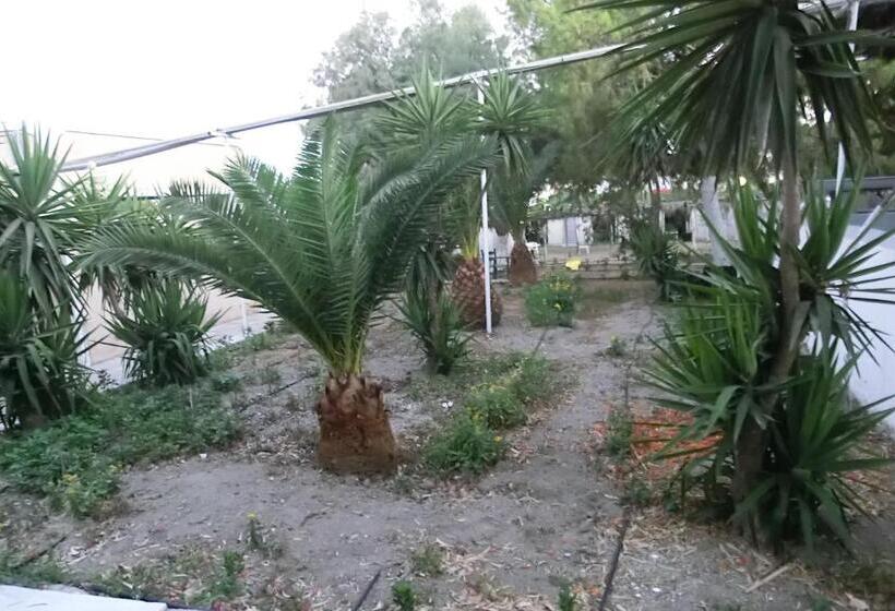 Santorini Camping & Hostel