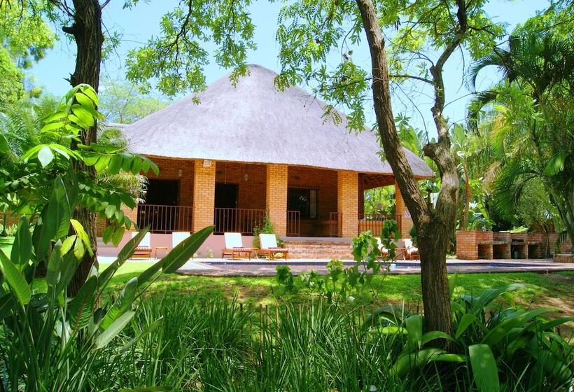 Bed and Breakfast Dreamfields Guesthouse