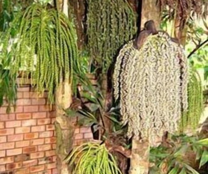 Bed and Breakfast Dreamfields Guesthouse