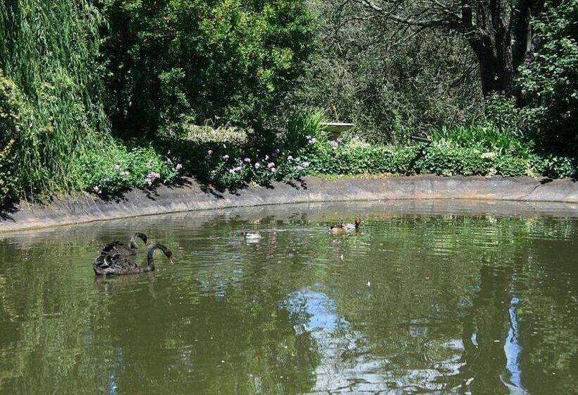 צימר Drinkwater Guest Farm