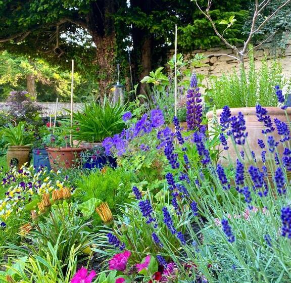 مبيت وإفطار Grove House