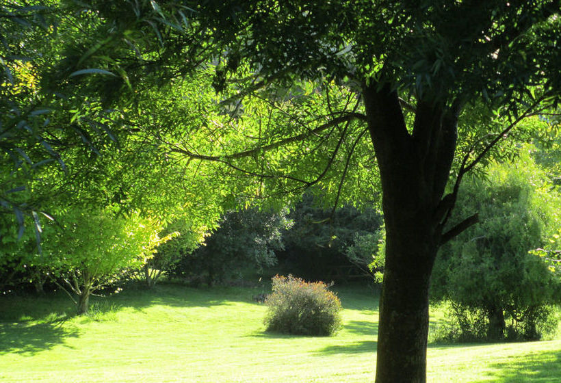 مبيت وإفطار Leithview B And B