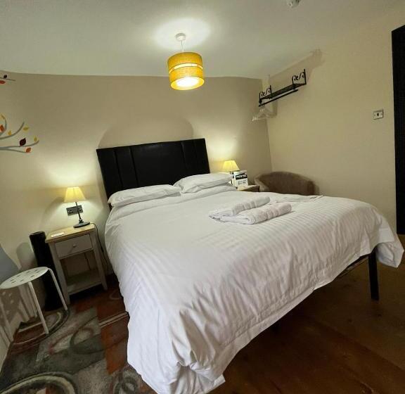 مبيت وإفطار Old Manor House