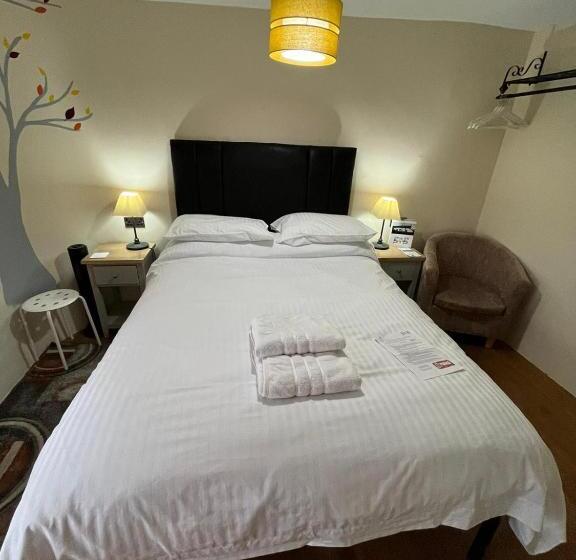 مبيت وإفطار Old Manor House