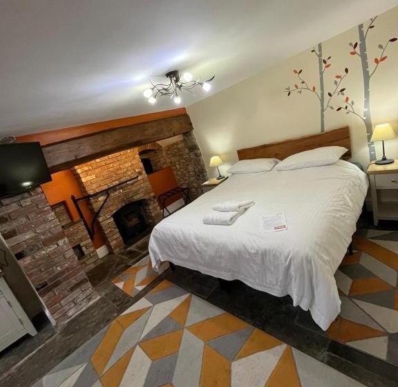 مبيت وإفطار Old Manor House