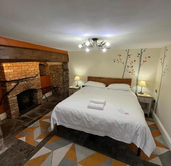 مبيت وإفطار Old Manor House