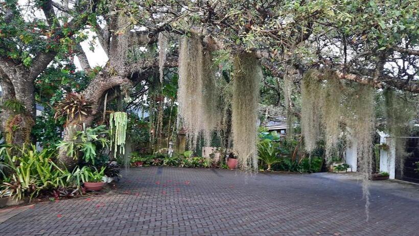 צימר St Lucia Wetlands Guesthouse