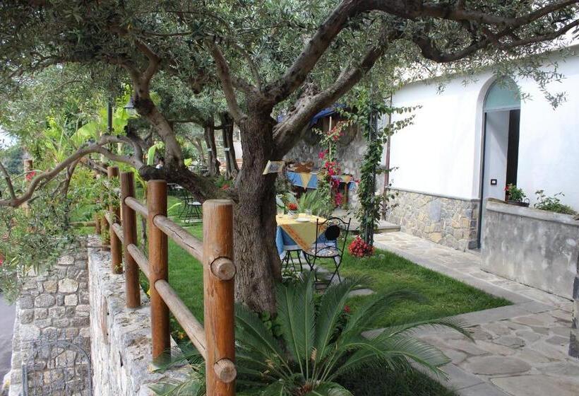 Bed and Breakfast World Center