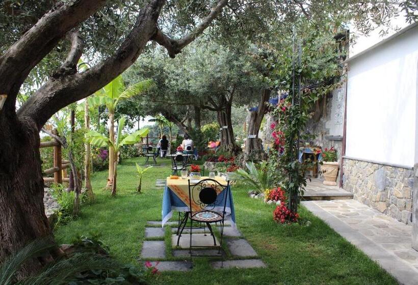 Bed and Breakfast World Center