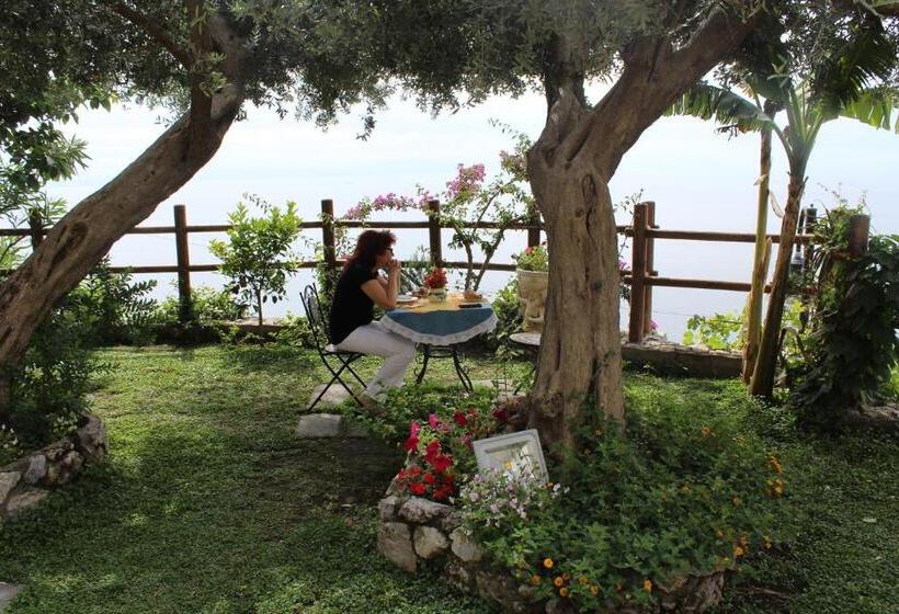 Bed and Breakfast World Center