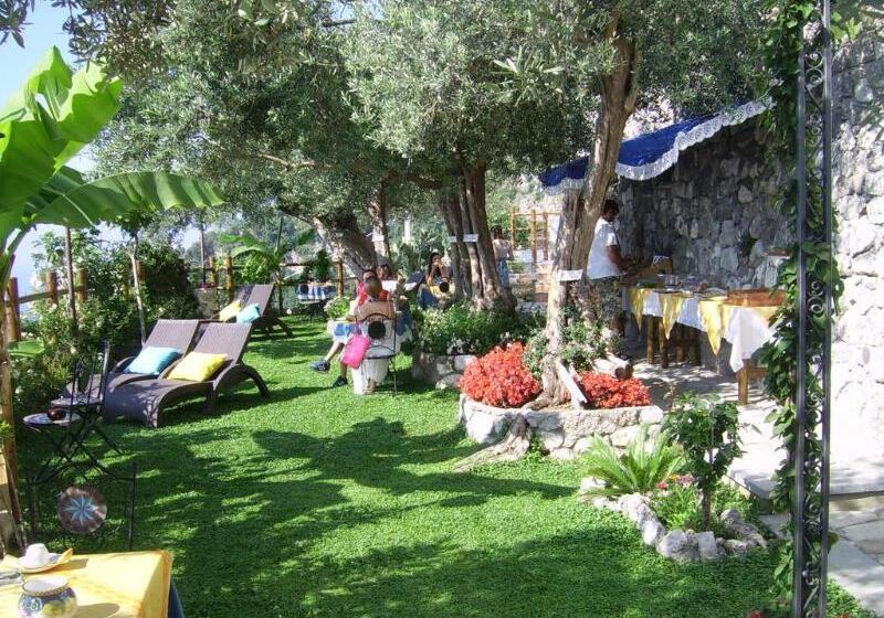 Bed and Breakfast World Center