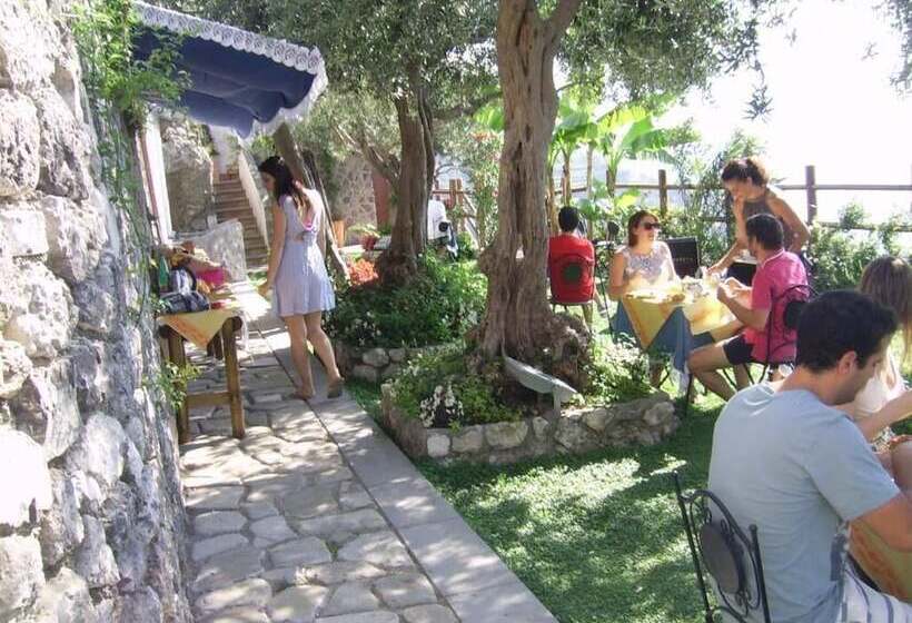 Bed and Breakfast World Center