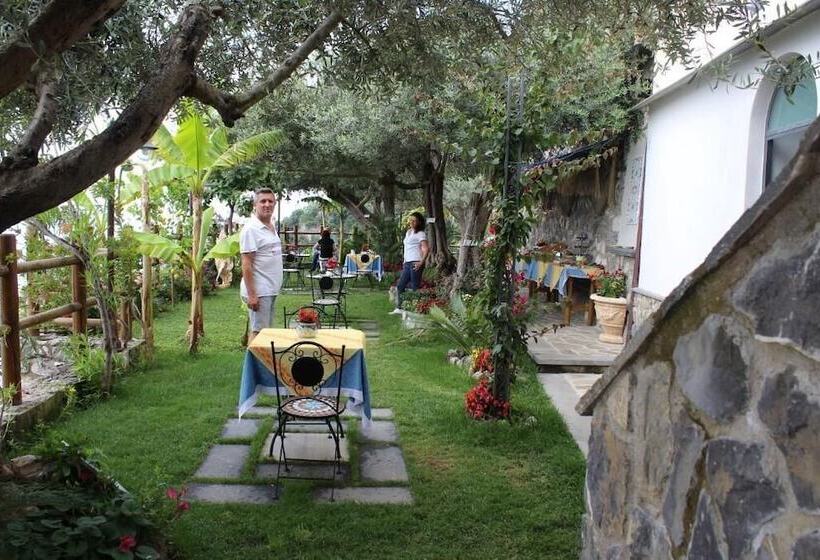 Bed and Breakfast World Center