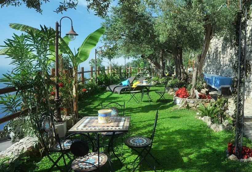 Bed and Breakfast World Center