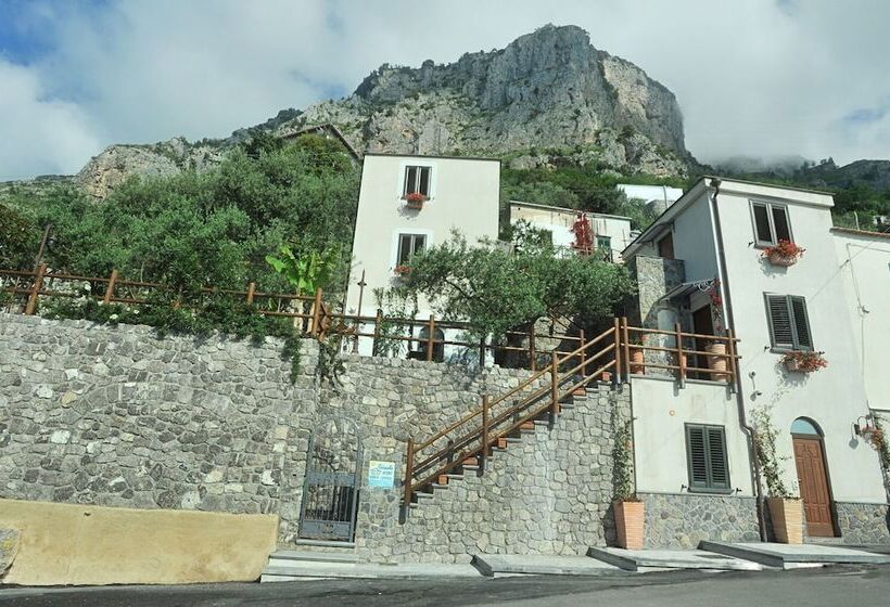 Bed and Breakfast World Center