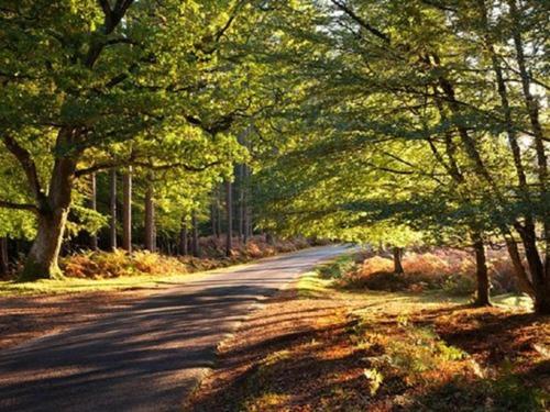 Beddoe Apartments Premier Lodge Eastleigh Near Winchester And Southampton