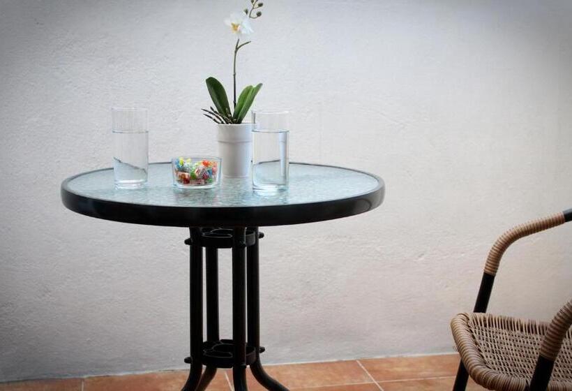 Che Lagarto Hostel Montevideo