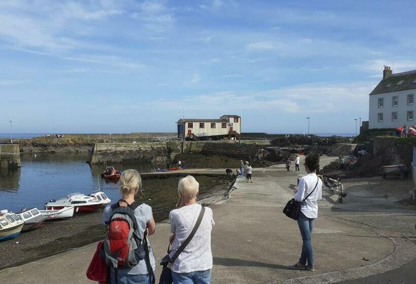 Elmbank Accommodation