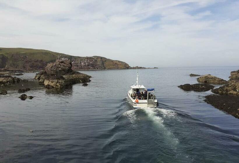 Elmbank Accommodation