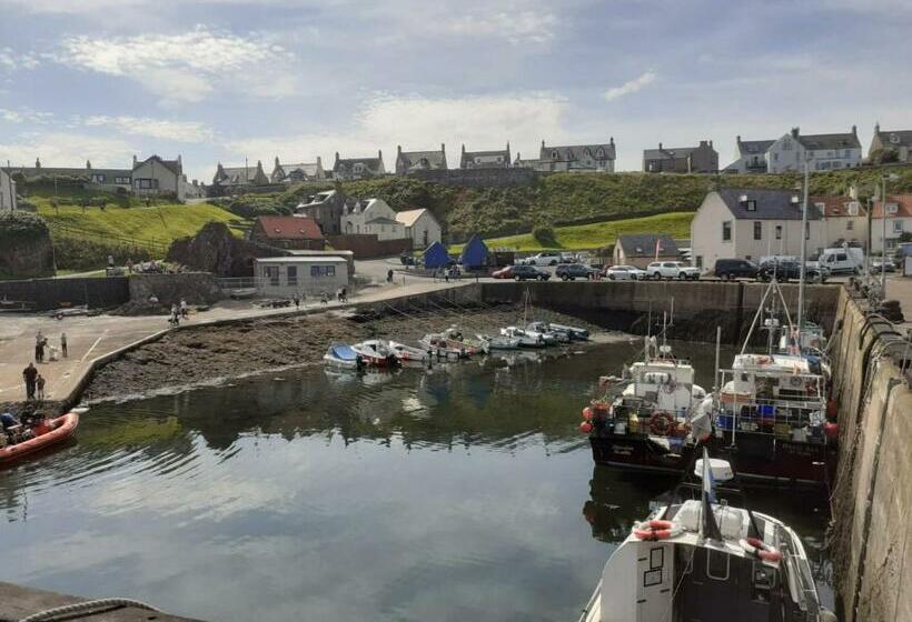 Elmbank Accommodation