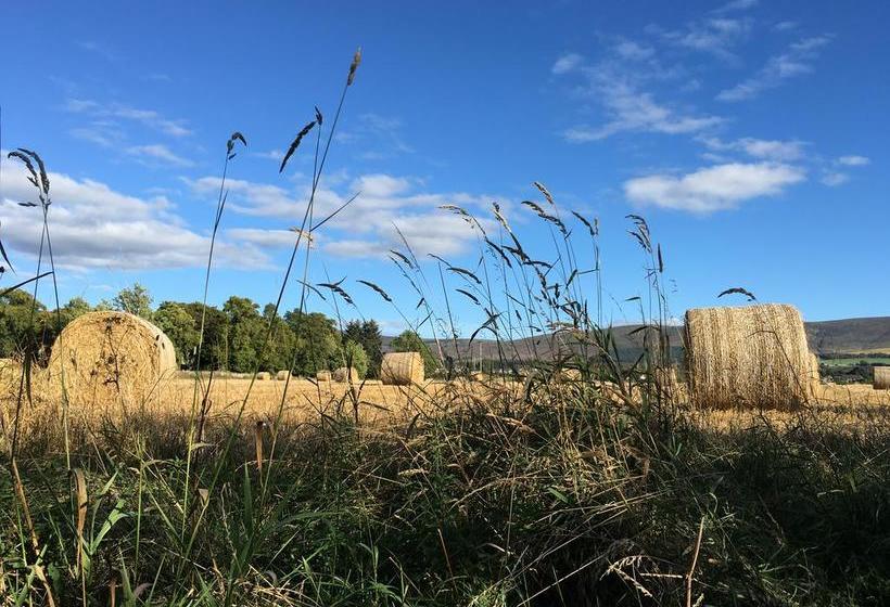 Firhall Highland B&b